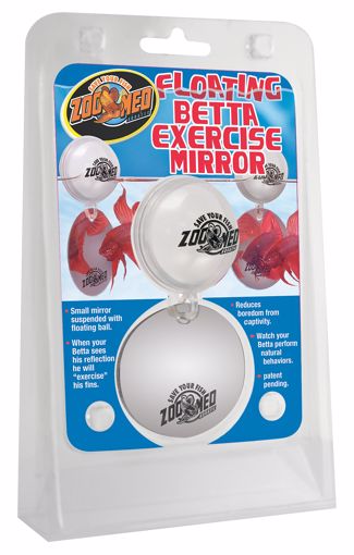 Picture of FLOATING BETTA EXERCISE MIRROR