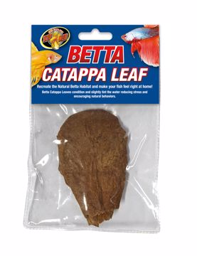Picture of BETTA CATAPA LEAF