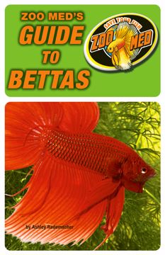 Picture of GUIDE TO BETTAS CARE BOOK