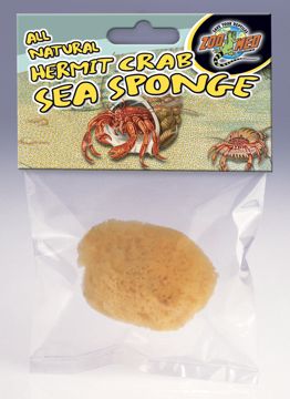 Picture of HERMIT CRAB SEA SPONGE