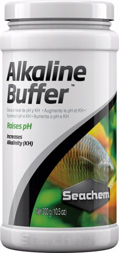 Picture of 10.6 OZ. ALKALINE BUFFER (300G)