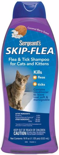 Picture of 18 OZ. SKIP F&T SHAMPOO - COCONUT BERRY - CAT