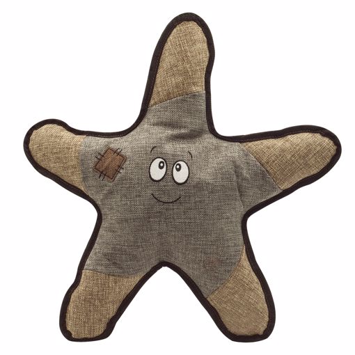 Picture of SOPHIE THE STARFISH