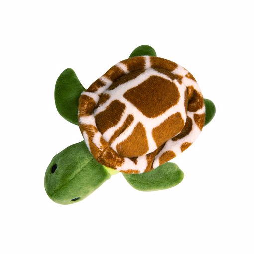 Picture of BABY SHELLDON THE TURTLE