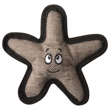 Picture of BABY SOPHIE THE STARFISH