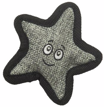 Picture of KITTY STARFISH WITH CATNIP