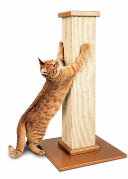 Picture of 32 IN. ULTIMATE SCRATCHING POST