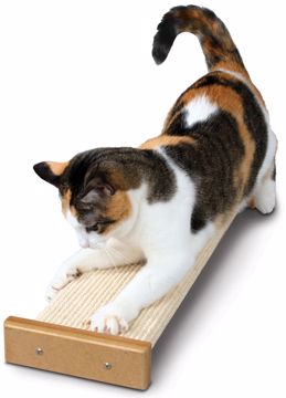 Picture of BOOTSIES COMBINATION SCRATCHER