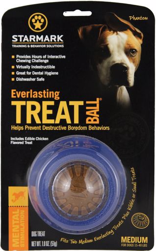 Picture of MED. EVERLASTING TREAT BALL W/1 TRT