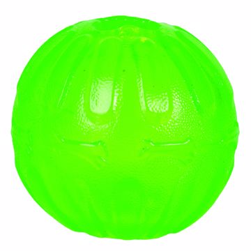 Picture of LG. EVERLASTING FUN BALL - 4 IN.