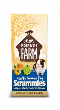 Picture of 4.2 OZ. TINY FRIENDS FARM GERTY SCRUMMIES W/FRUIT