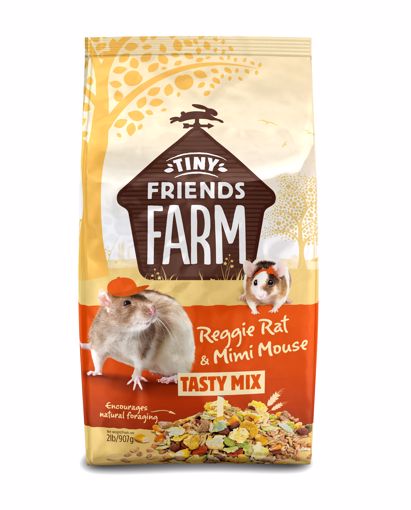 Picture of 2 LB. TINY FRIENDS FARM REGGIE RAT AND MIMI MOUSE