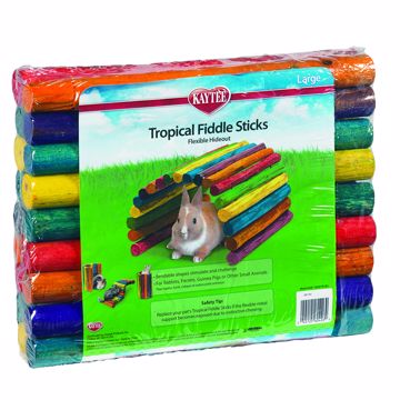 Picture of LG. TROPICAL FIDDLE STICKS