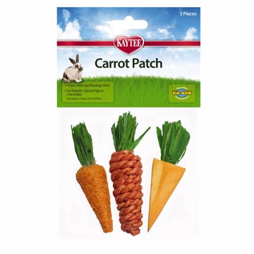 Picture of 3 PK. CARROT PATCH CHEW TOY