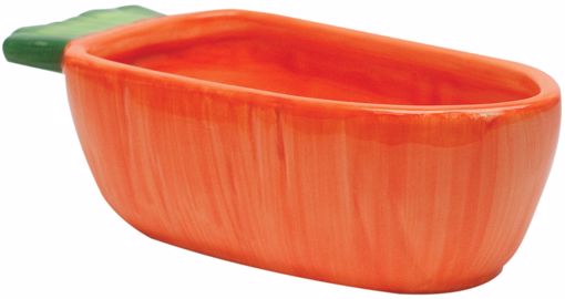 Picture of VEGE-T-BOWL - CARROT