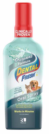 Picture of 4 OZ. DENTAL FRESH SPRAY