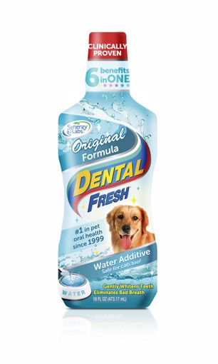 Picture of 17 OZ. DENTAL FRESH ORIGINAL - DOG