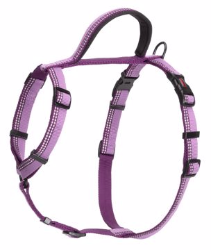 Picture of HALTI WALKING HARNESS SMALL PURPLE