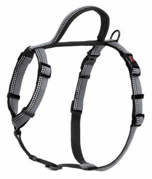 Picture of MED. HALTI WALKING HARNESS BLACK/GREY