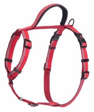 Picture of MED. HALTI WALKING HARNESS RED
