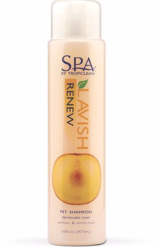 Picture of 16 OZ. SPA RENEW - SHAMPOOO