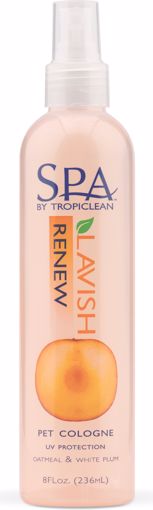 Picture of 8 OZ. SPA RENEW AROMATHERAPY - SPRAY