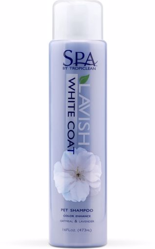 Picture of 16 OZ. SPA WHITE COAT - SHAMPOO