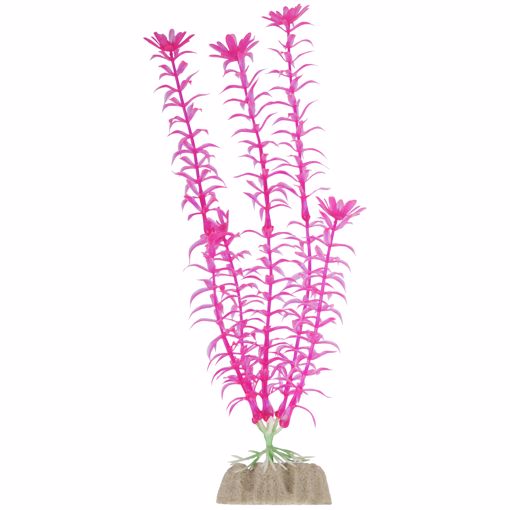 Picture of LG. GLOFISH PLASTIC PLANT - FLUORESCENT PINK ANACHRIS