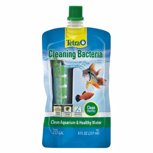 Picture of 8 OZ. CLEANING BACTERIA