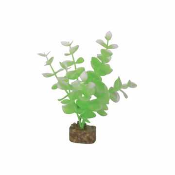 Picture of SM. GLOFISH PLASTIC PLANT - GREEN/WHITE