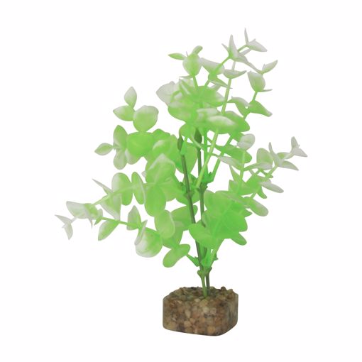 Picture of MED. GLOFISH PLASTIC PLANT - GREEN/WHITE