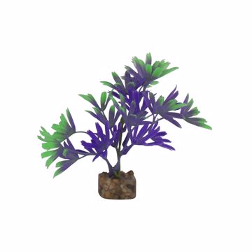 Picture of SM. GLOFISH PLASTIC PLANT - PURPLE/GREEN