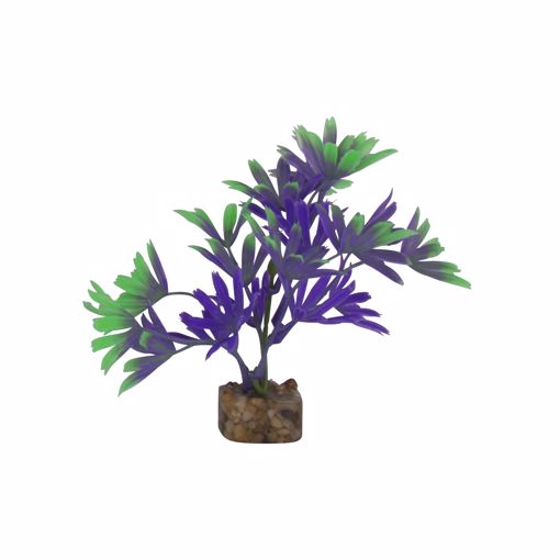 Picture of SM. GLOFISH PLASTIC PLANT - PURPLE/GREEN