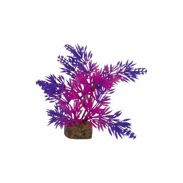 Picture of SM. GLOFISH PLASTIC PLANT - PURPLE/PINK