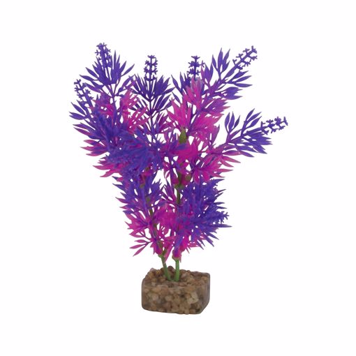 Picture of MED. GLOFISH PLASTIC PLANT - PURPLE/PINK