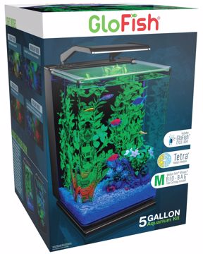 Picture of 5 GAL. GLOFISH AQUARIUM KIT