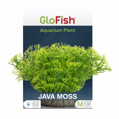 Picture of MED. GLOFISH PLASTIC PLANT - GREEN JAVAMOSS