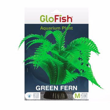 Picture of MED. GLOFISH PLASTIC PLANT, GREEN FERN