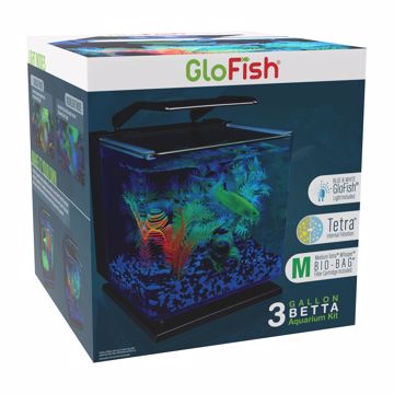 Picture of 3 GAL. GLOFISH 3G BETTA GLASS KIT