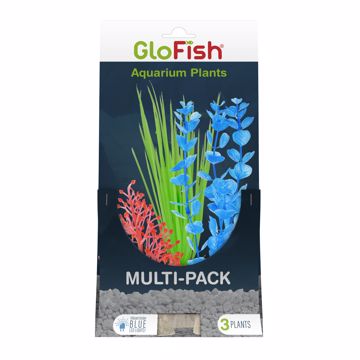 Picture of 3 PK. GLOFISH PLANT - SM. ORANGE, MED. GREEN, LG. BLUE