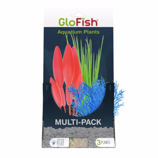 Picture of 3 PK. GLOFISH PLANT - SM. BLUE, MED. GREEN, LG. ORANGE