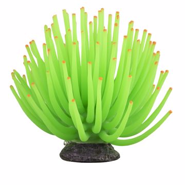 Picture of LG. GLOFISH ANEMONE - GREEN