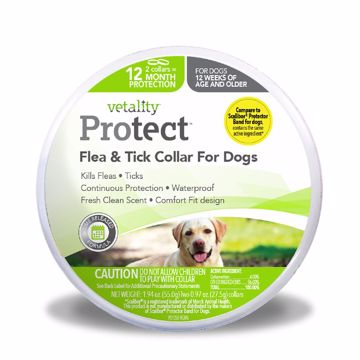 Picture of VETALITY PROTECT FLEA & TICK COLLAR - DOG