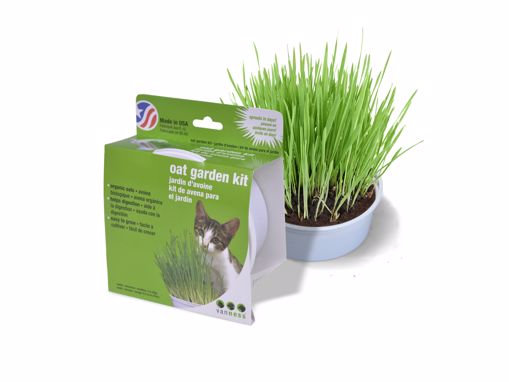 Picture of OAT GARDEN KIT