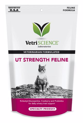 Picture of 60 CT. UT STRENGTH CHEWS - CAT