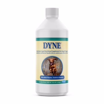 Picture of 16 OZ. DYNE HIGH CALORIE LIQUID FOR DOGS