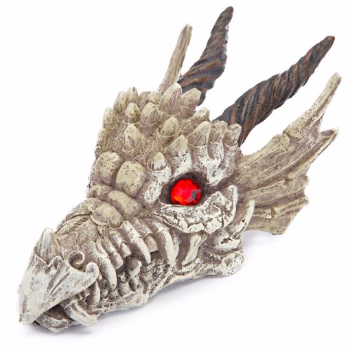 Picture of 3X5.75X3 IN. DRAGON SKULL GAZER RESIN ORNAMENT W/JEWEL EYES