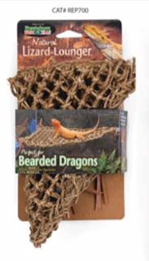 Picture of 15 IN. X 8 IN. SMALL LIZARD LOUNGER - CORNER