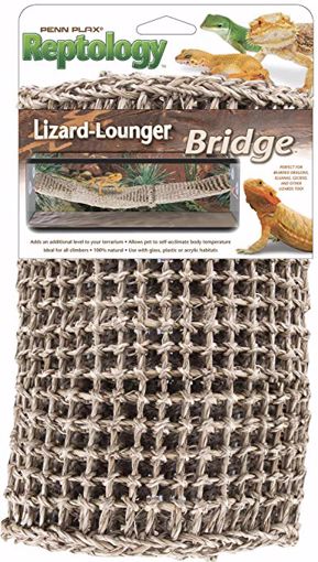 Picture of BRIDGE LIZARD LOUNGER