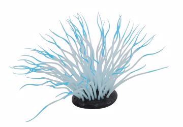 Picture of MED. SILICONE SEA ANEMONE - BLUE